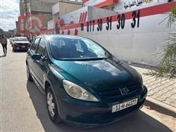 بیجۆ 307